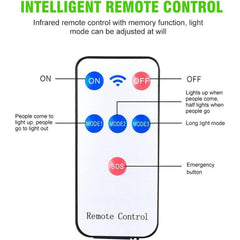 Motion Sensor Light