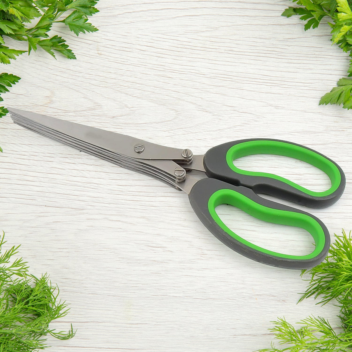 Multifunction Vegetable Stainless Steel Herbs Scissor with 5 Blades (1 Pc)