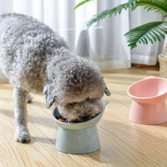 Plastic Multipurpose Bowl, Food Bowls (1 Pc)