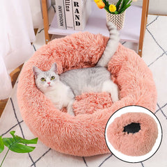 Indoor Dog Bed for Cats (50×50×13 Cm / Big)