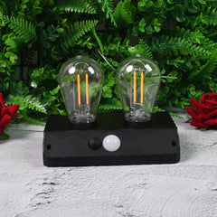 Solar Double LED Bulb Lamp YT-819- 2W (1 Pc)