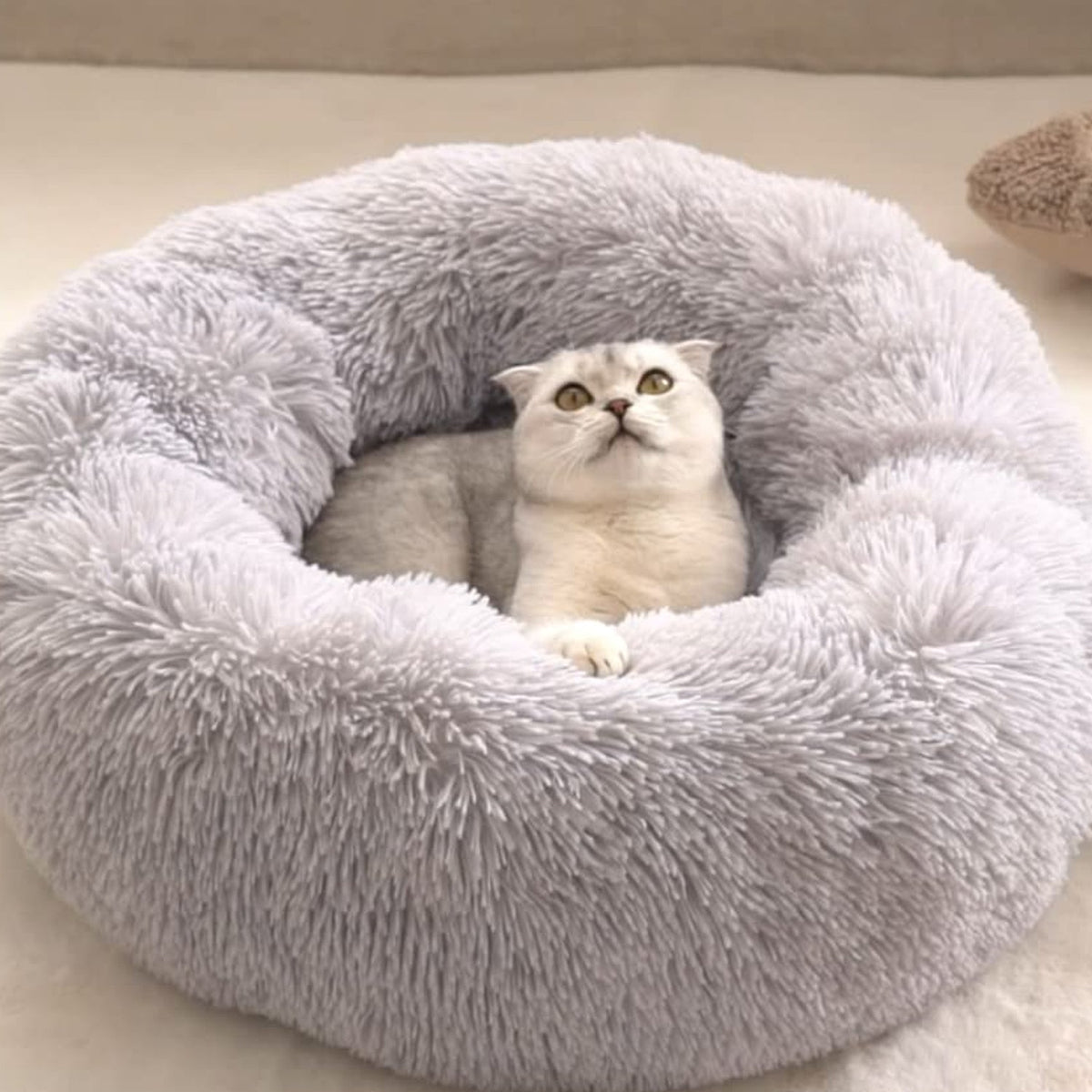 Small Round Dog Beds for Small Dogs and Cats (1 Pc)