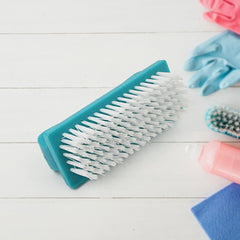 Multipurpose Scrubber Hard Brush with Handle (1 Pc / Small)