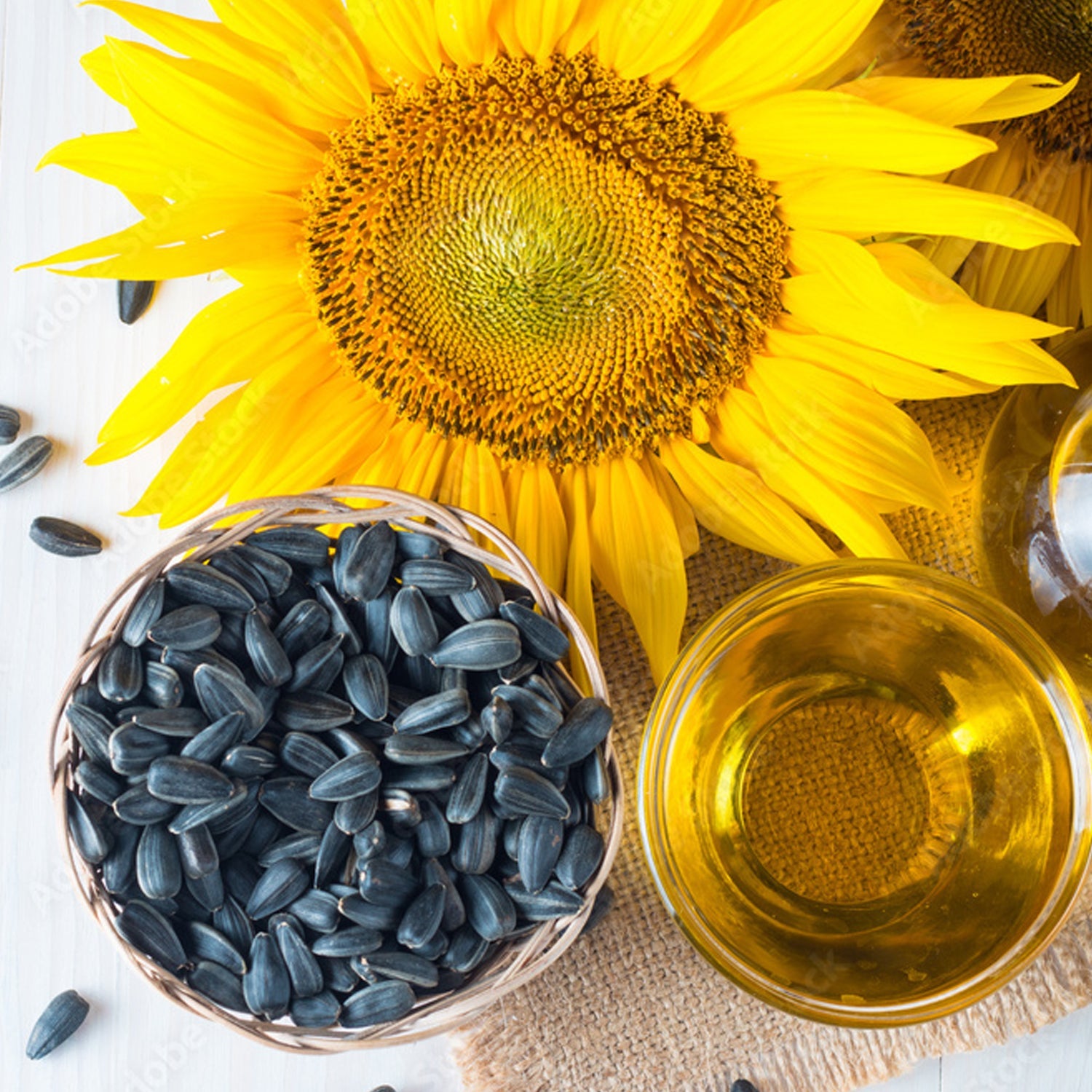 5994A Vishwas Sunflower Oil Jar & Pouch | Refined Sunflower Oil 100% Natural and Pure Sunflower Cooking Oil (Pack Of 5)