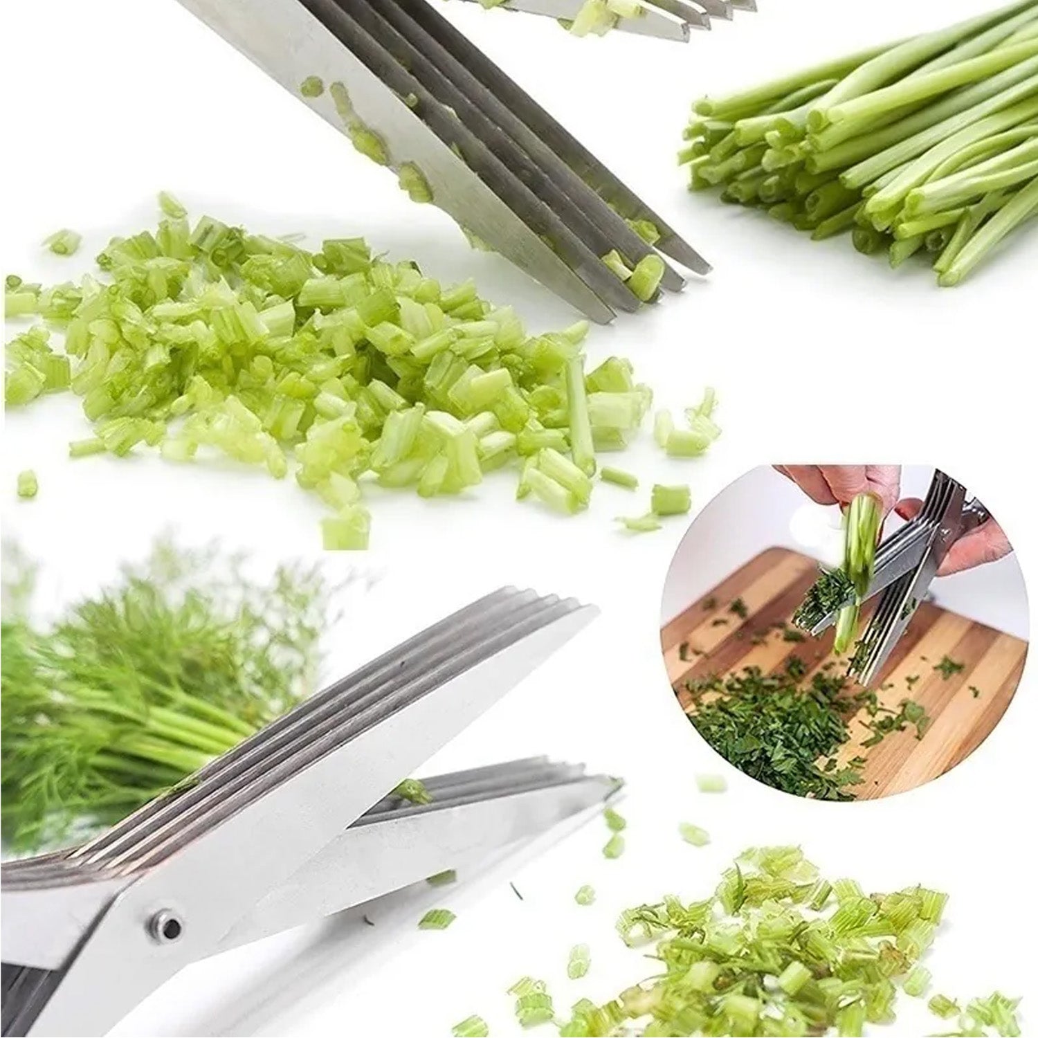 Multifunction Vegetable Stainless Steel Herbs Scissor With 5 Blades (1 Pc)