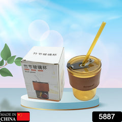 5887 Home Glass Coffee Mug/Tea Cup with Glass Straw and Leakproof Lid  Travel Friendly Cups with Heatproof Sleeves